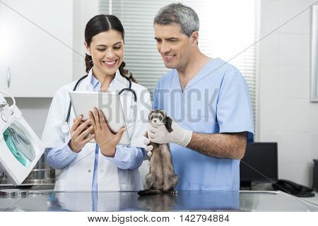 Doctor With Tablet Computer By Coworker Holding Weasel