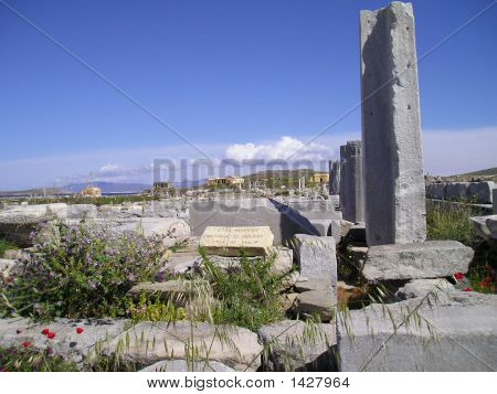 STOA ruines Delos