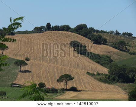 Typical landscape with hills in the Chiantishire region in Tuscany Italy