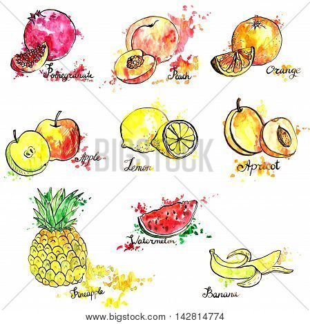 hand drawn fruits, ink and watercolor drawing fruit with paint stains