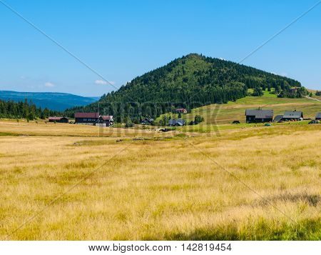 Green forested conical hill, bright yellow summer grass and clear blue sky in Jizera Mountains, Jizerka village and Bukovec Mountain, Czech Republic