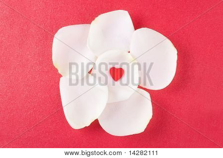 Herzen auf die Rosenblüten