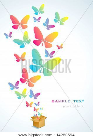 Ouvrez la boîte et le papillon
