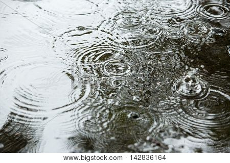 Beautiful Backgrounds With Falling Water Drops In A Puddle In The Rain