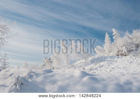Winter snow in the Carpathian Mountains lot.