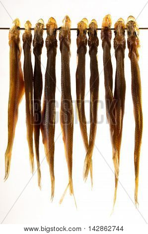 air dried stint on a metal rod and bright background