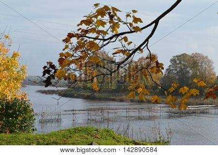 Stroll along the Salaca River, enjoying the autumn
