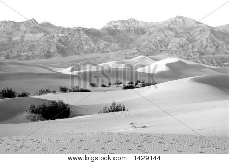 Dunes de sable dans la vallée de la mort en Californie (États-Unis)