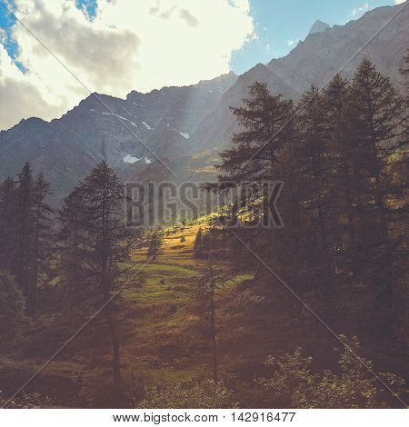 Glade in the alpien mountains illuminated by light