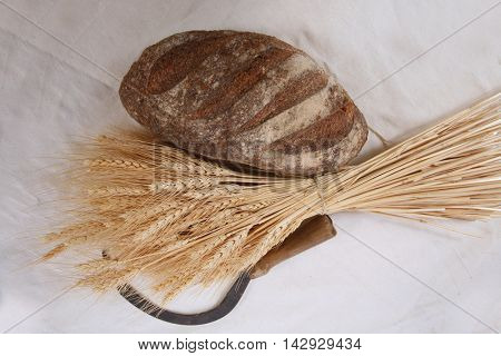 bunch of mown wheat ears with vintage handmade reaper hook sickle and rye dark french fresh bread loaf on white linen tablecloth