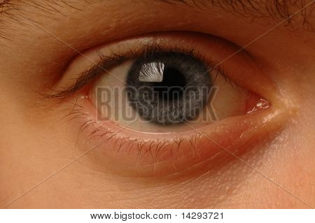 Close-up van oog