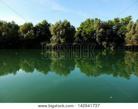 Wild Brenta River
