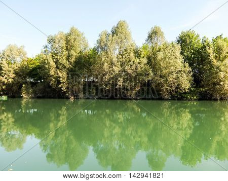 Wild Brenta River