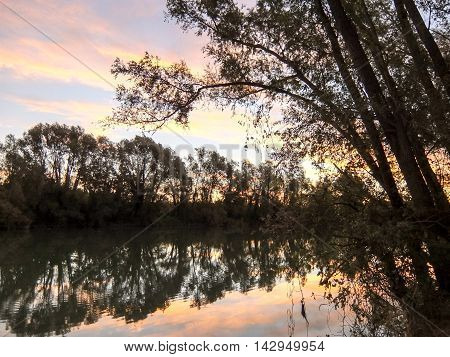 Wild Brenta River