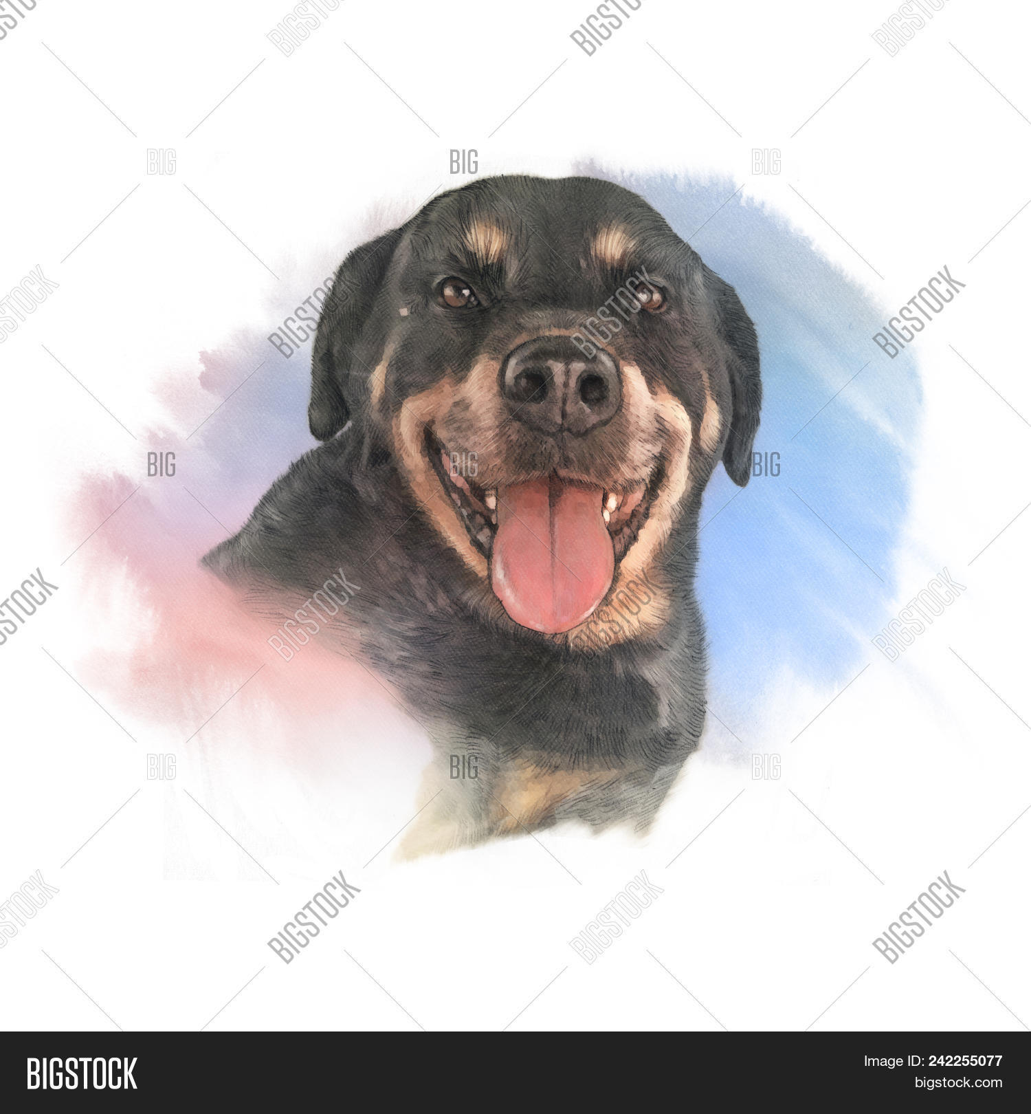 rottweiler pet shop