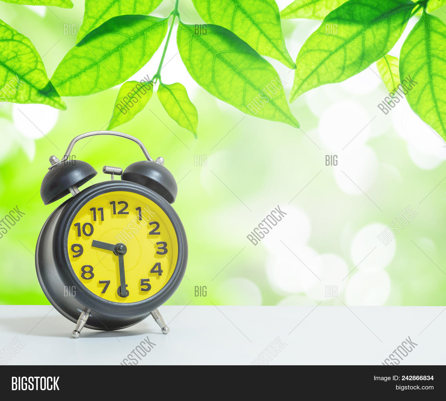 Half Past Nine O'clock Image & Photo (Free Trial)