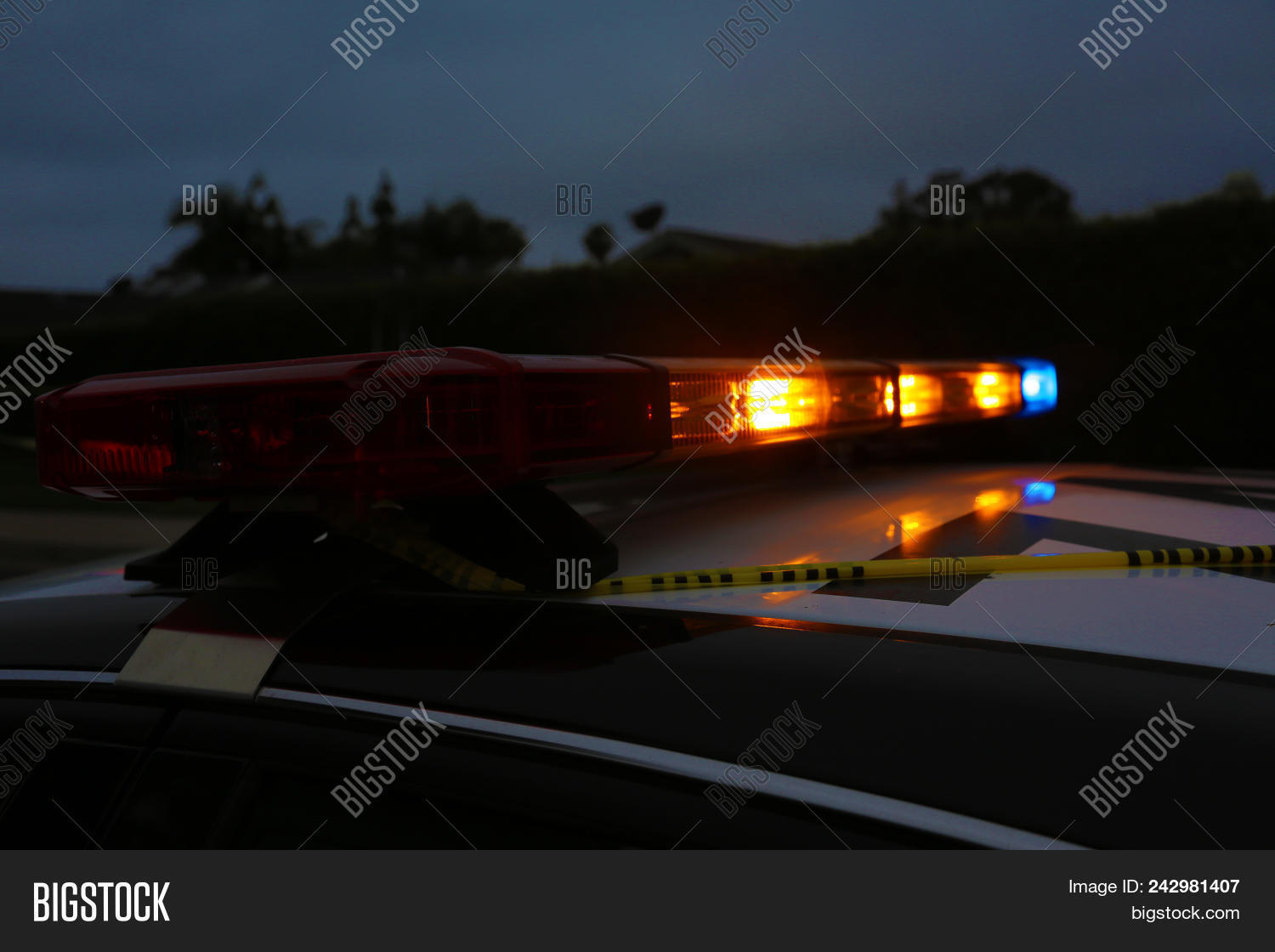 Police Car Light Bar. Image & Photo (Free Trial) Bigstock