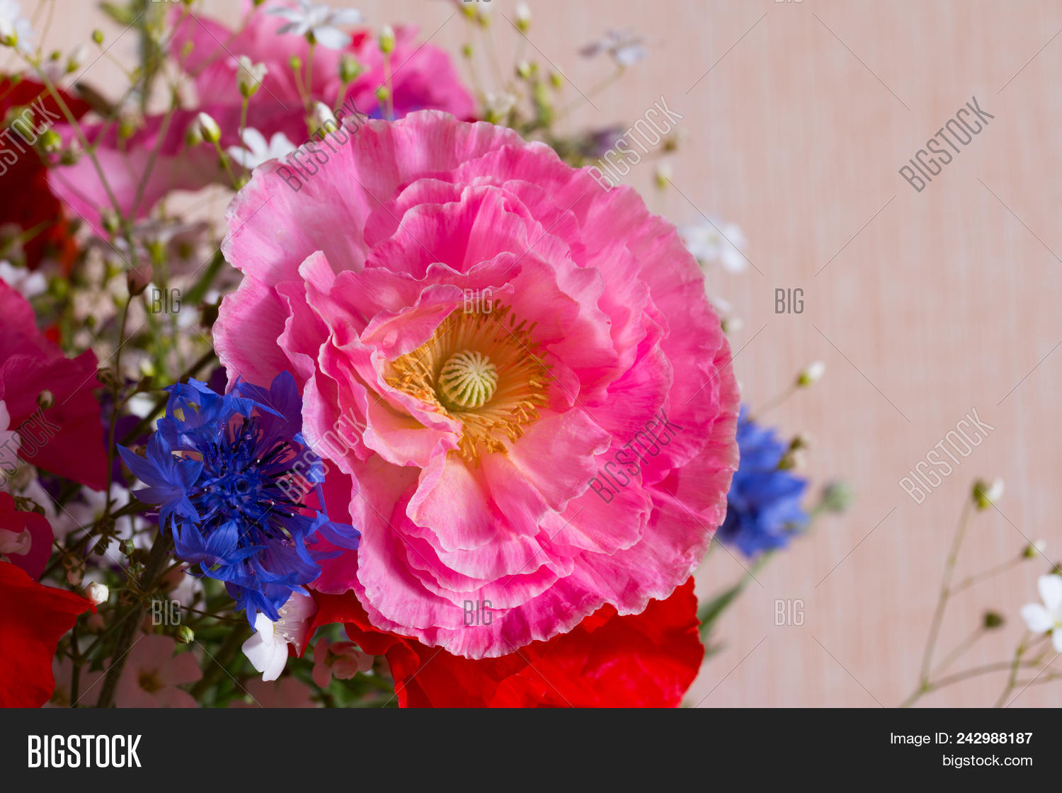 Bouquet Red Pink Poppy Image Photo Free Trial Bigstock