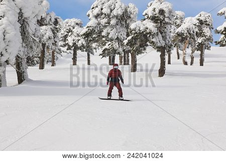 Snowboarding On A Forest Ski Slope. White Winter Mountain Landscape. Horizontal