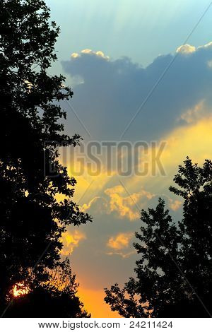 Sunrise Clouds