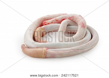 Pork Penis On A White Background Isolated