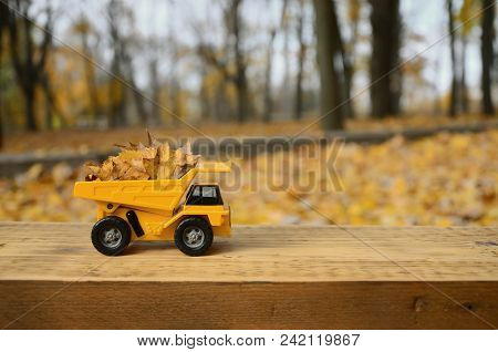 The Concept Of Seasonal Harvesting Of Autumn Fallen Leaves Is Depicted In The Form Of A Toy Yellow T