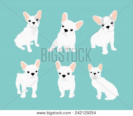 Vector Ilrations Photo Free Trial Stock Vector Ilrations Photo