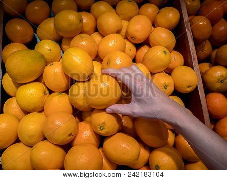 A Female Hand Takes A Sunkist Orange In The Fruit And Vegetable Aisle In The Supermarket