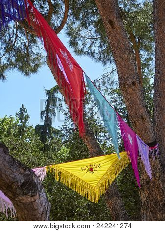Trees Dressed With Colorful Manila Shawls.
