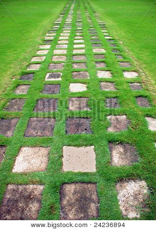 Garden green path