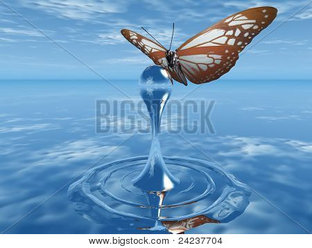 mariposa y gota