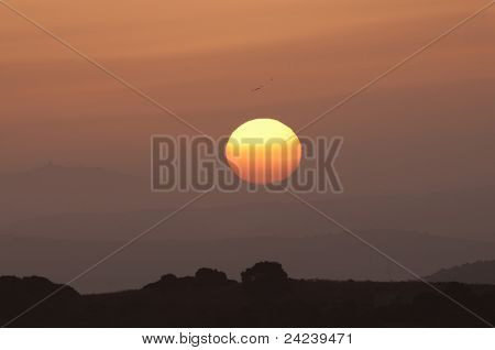 Sunrise e uccelli sopra una collina