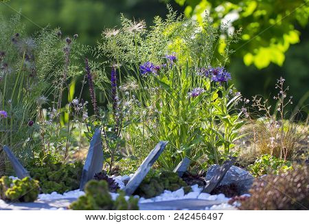 Blossom With Stones And Flowers Use Of Building Debris In Landscape Design.