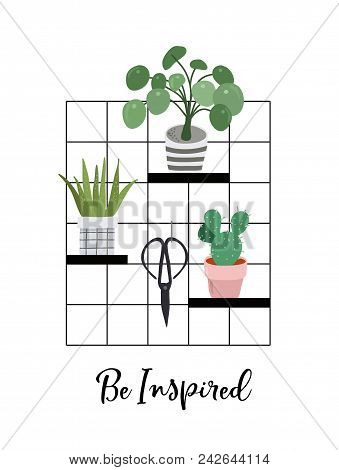 Urban Jungle, Trendy Home Decor With Plants, Planters, Cacti, Tropical Leaves , Macrame Hangers With