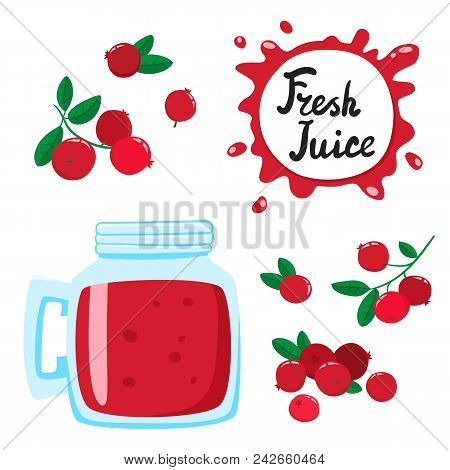Juice With Cranberries In A Glass Bank, Vector Cartoon Card With Fresh Berries And Smothie Isolated 