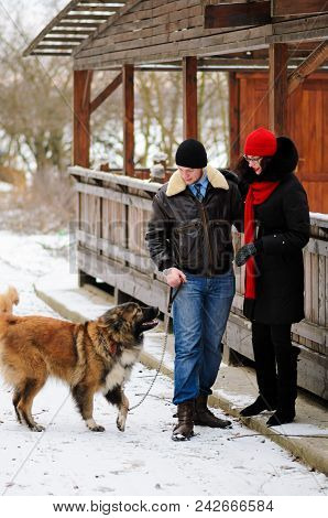 Happy Couple With Dogs In Winter Forest. Lovely Moments Outdoor