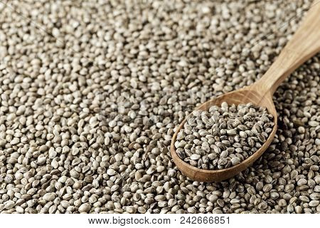 Hemp Seeds Are Scattered As A Background, On Top Lies A Rustic Wooden Spoon