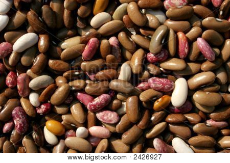 Fagioli