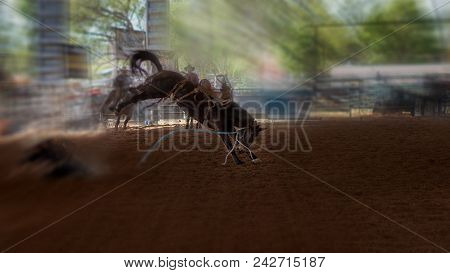 Bucking Bronco Horse At Indoor Country Rodeo