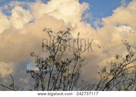 When The Clouds Turn Yellow At The End Of The Day