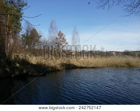 Lake In The Autumn Forest Pond Cold On The Street