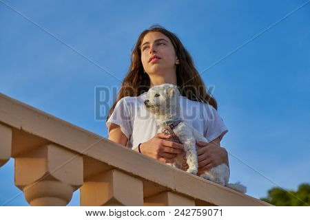 Girl playing with maltichon puppy dog in a balconade balustrade