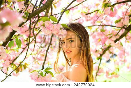 Woman Posing Under Japanese Cherry, Beauty And Harmony Concept. Sexy Girl Enjoying Fragrance Of Flow