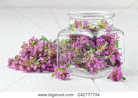 Thyme