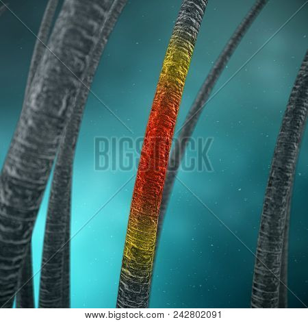 3d Rendering Weakened Hair. Concept Of Hair Loss. Unfortified, Unhealthy Hair. Hair With Under Micro