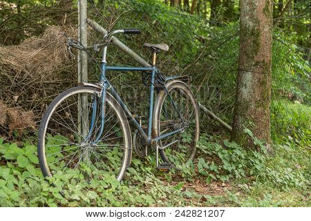 Old Mens Bicycle Locked At A Fence In The Forest