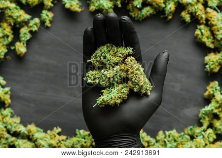 Grinder A Lot Ofx Marijuana, Fresh Buds Of Cannabis Many Weed. Copy Spase Copy-space