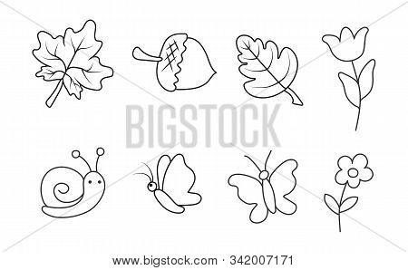 Set Of Empty Contour Silhouettes Of Flowers And Insects. Isolated Outline For Coloring Books. Vector