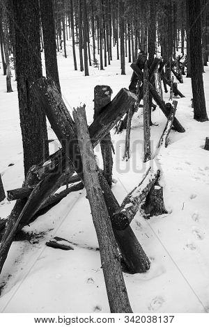 Colorado Rocky Mountain Fence In The Snow