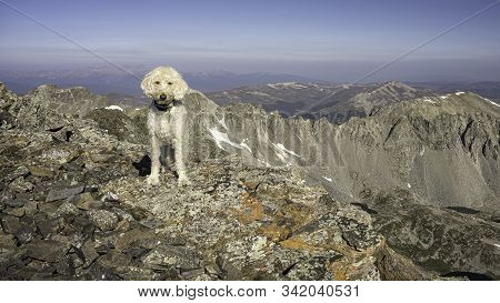Trail Dog High Peak In The Sawatch Range Of The Colorado Rockies.